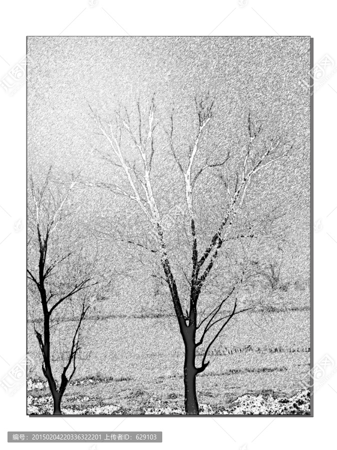 柳树抽象黑白画