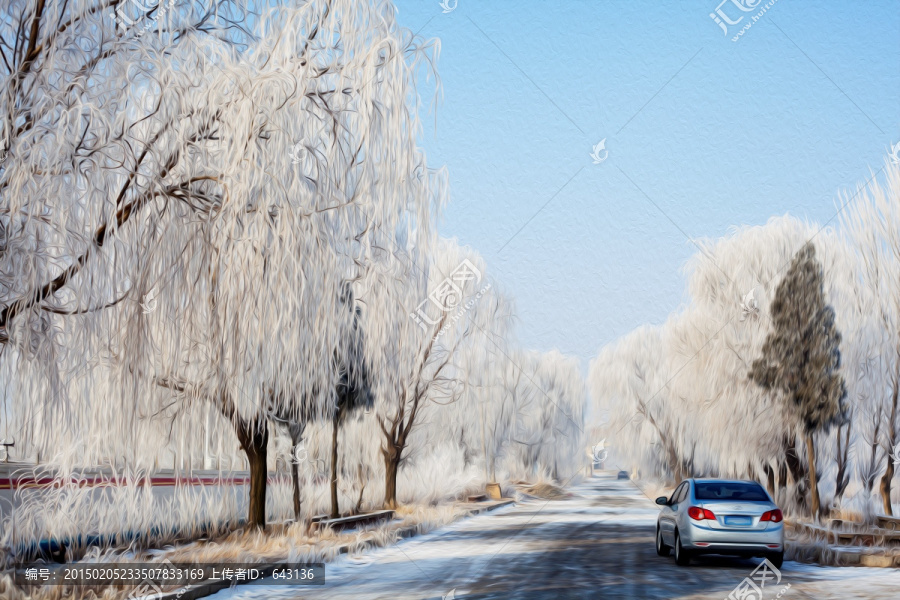 霧凇,雪,冬天