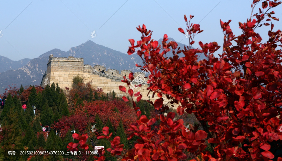 北京八达岭森林公园