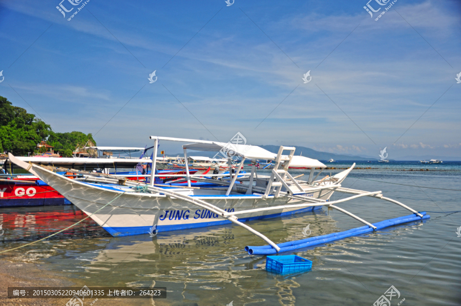 菲律宾海豚湾