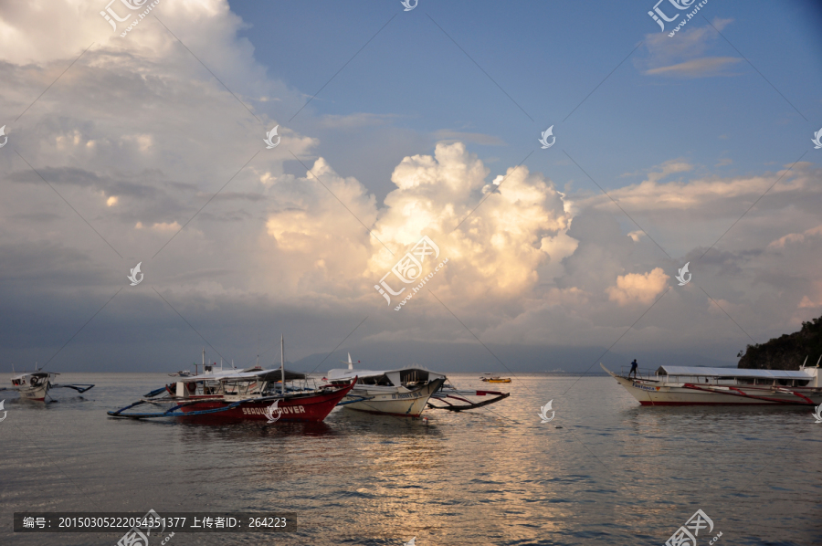 菲律宾海豚湾