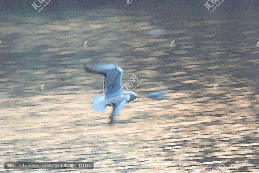 動(dòng)感海鷗油畫