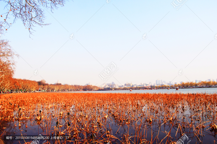 西湖秋景