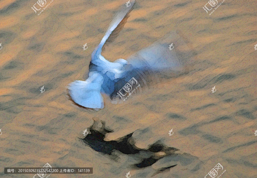 動(dòng)感海鷗油畫