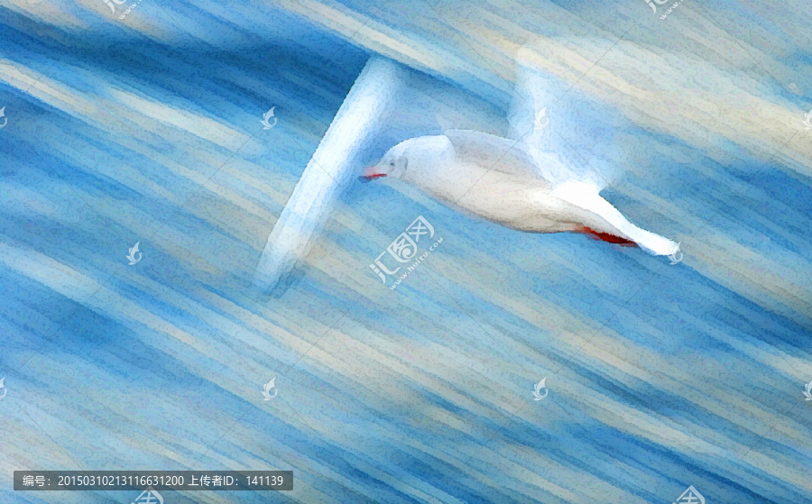 動(dòng)感海鷗油畫(huà)