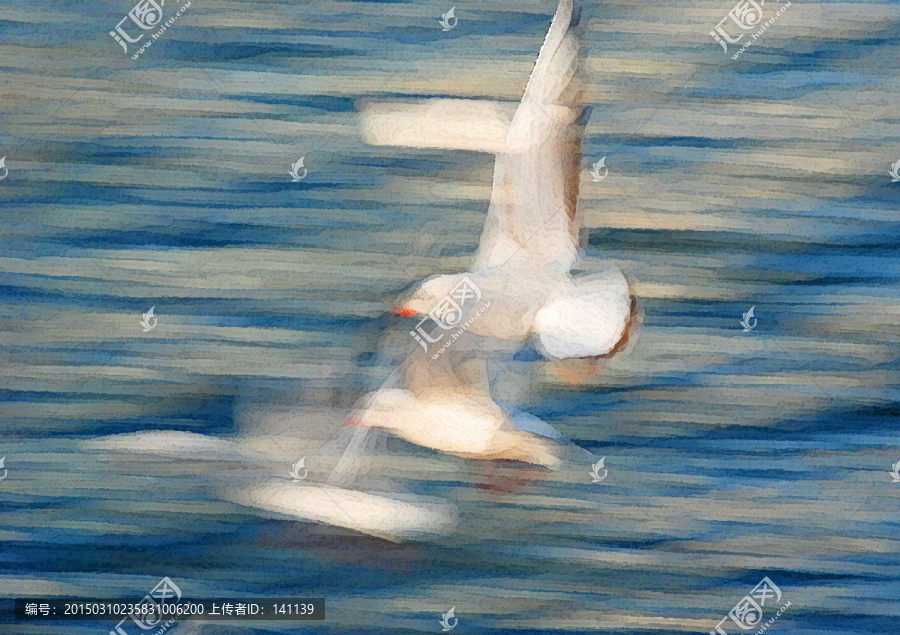 动感海鸥油画