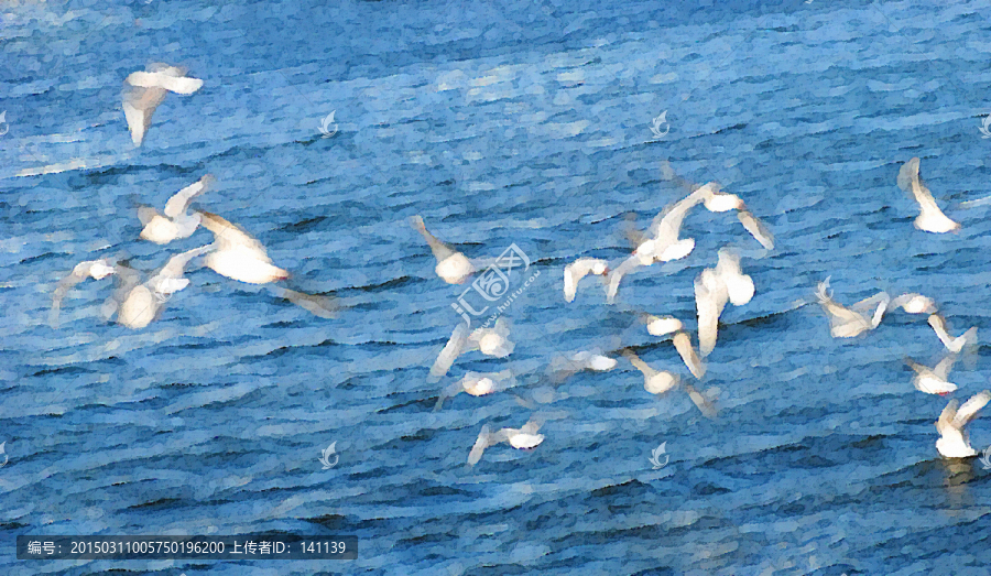 動感海鷗油畫