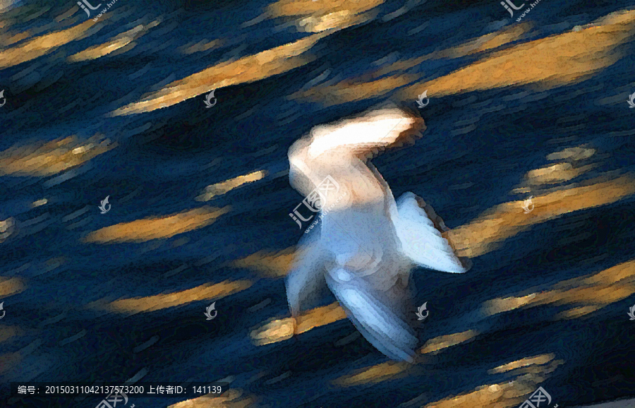 動感海鷗油畫