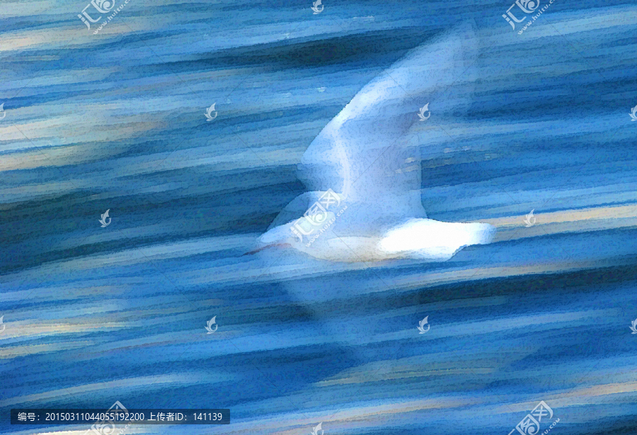 動(dòng)感海鷗油畫