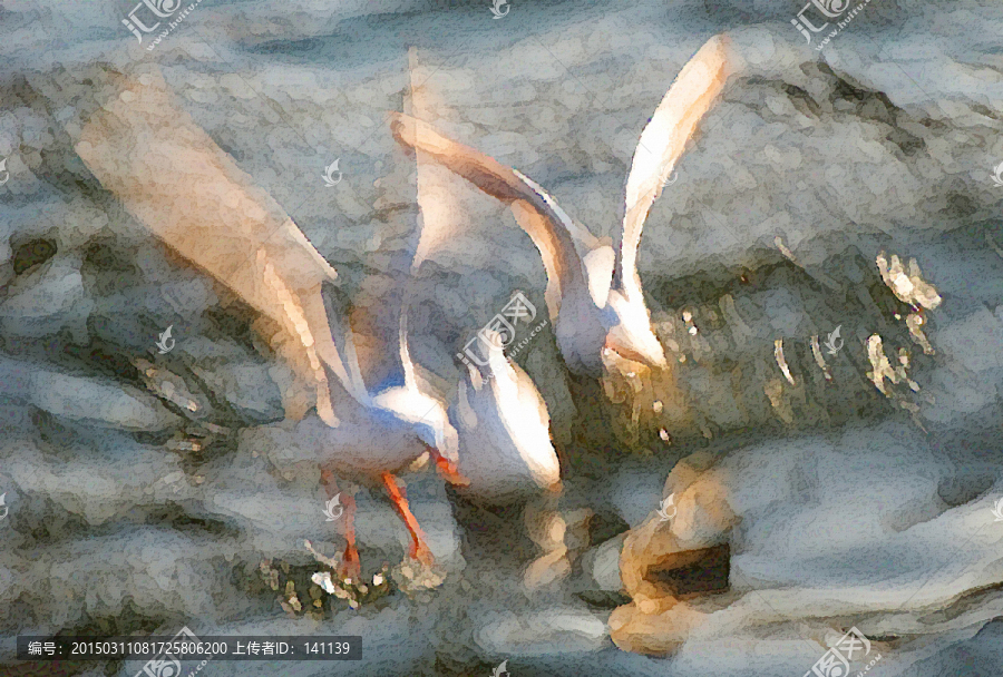 動感海鷗油畫