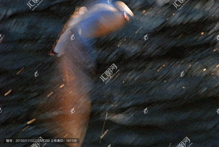 動感海鷗油畫