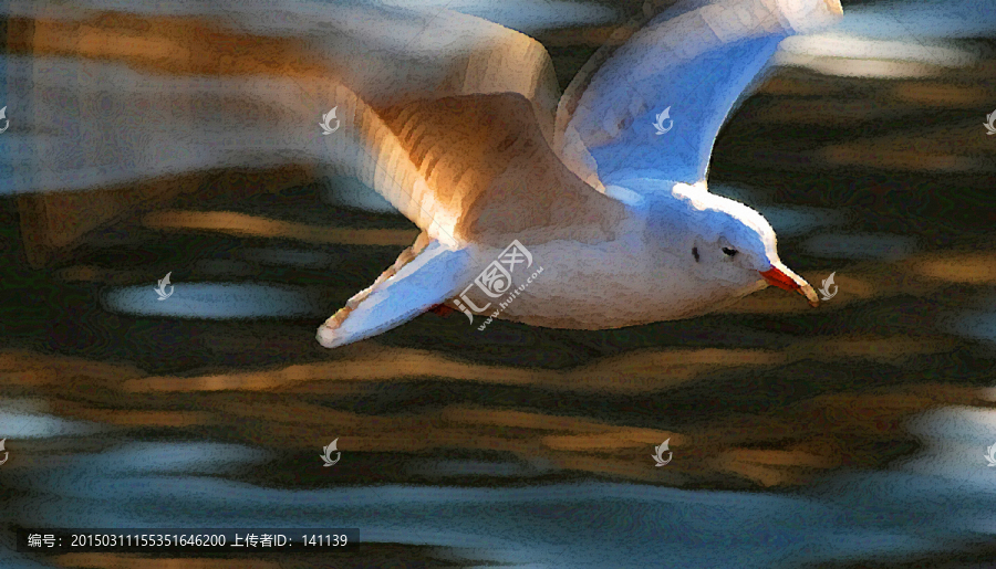 動感海鷗油畫