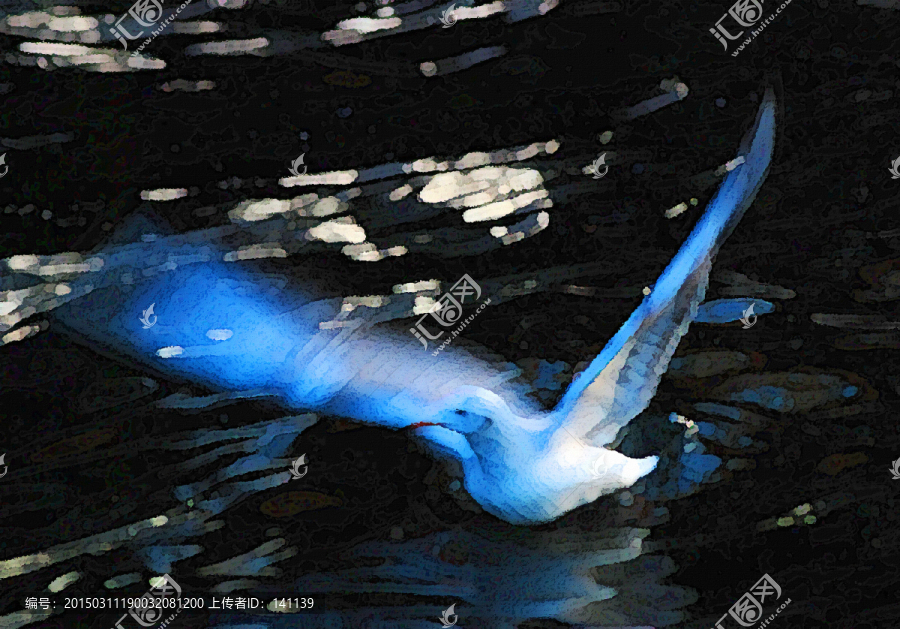 動感海鷗油畫