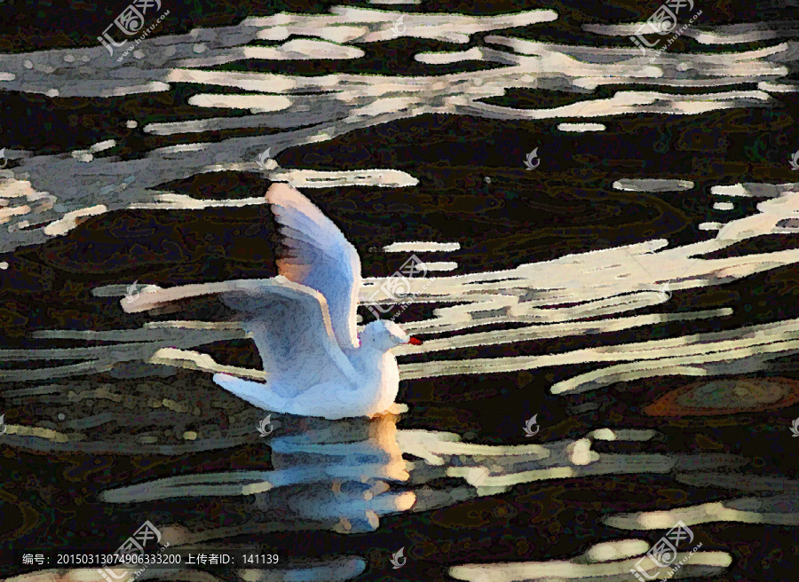動感海鷗油畫