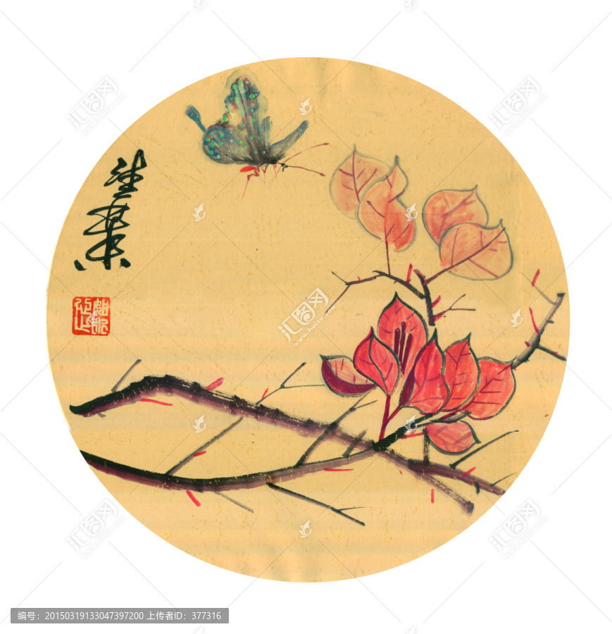 杜鵑花,三角梅