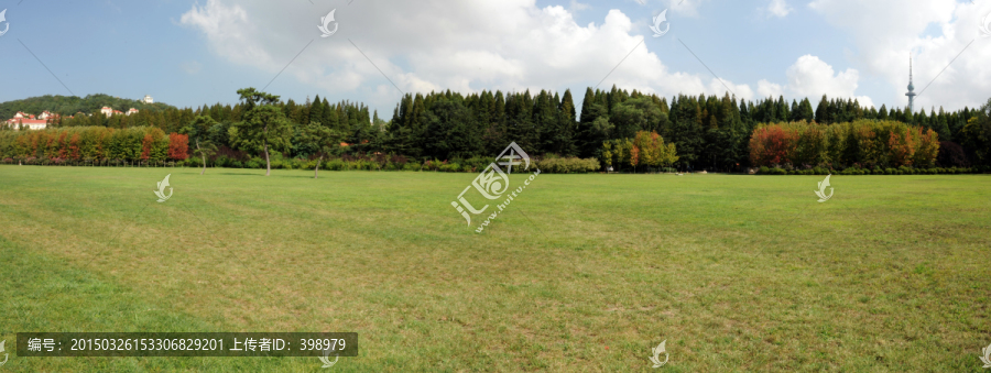 青岛中山公园大草坪,宽幅高清