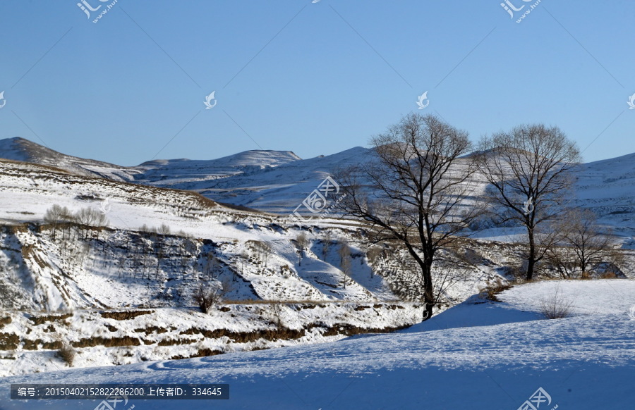 黄土高原冰雪