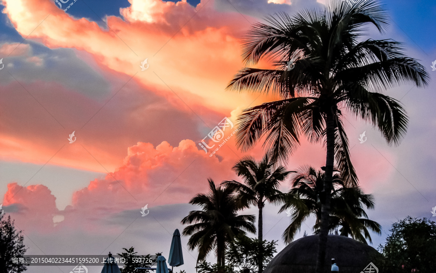 海南岛椰林树影