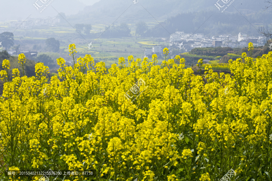 婺源