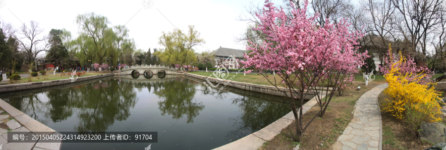 北京大学燕园春天180全景