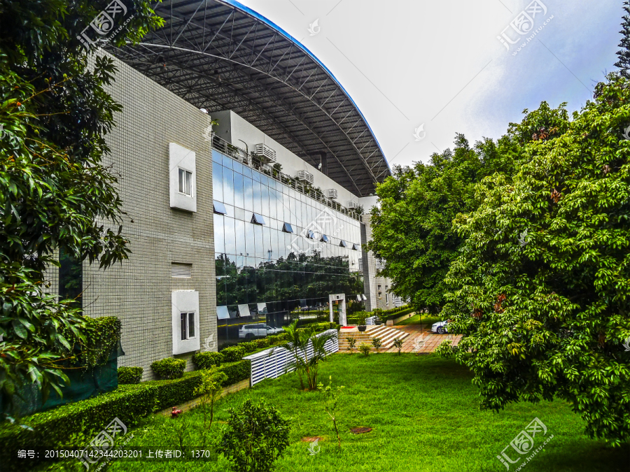 深圳大学游泳馆,游泳池