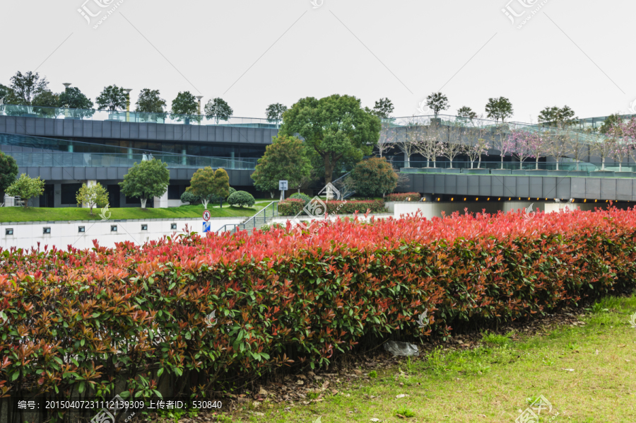 城市广场