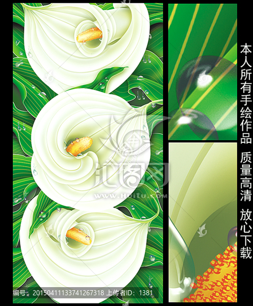 綠色馬蹄蓮玄關(guān),郁金香