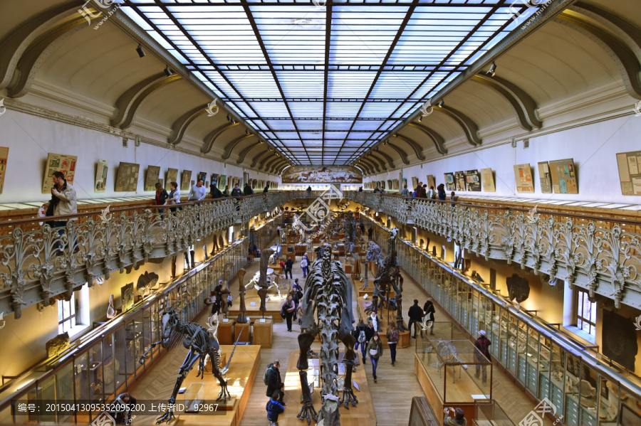 史前海洋生物恐龙化石展厅