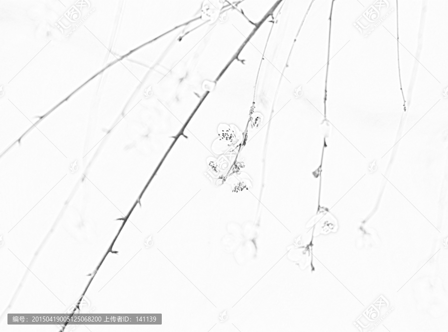 桃花素描