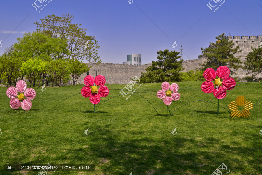 五朵花可爱花朵高清jpg