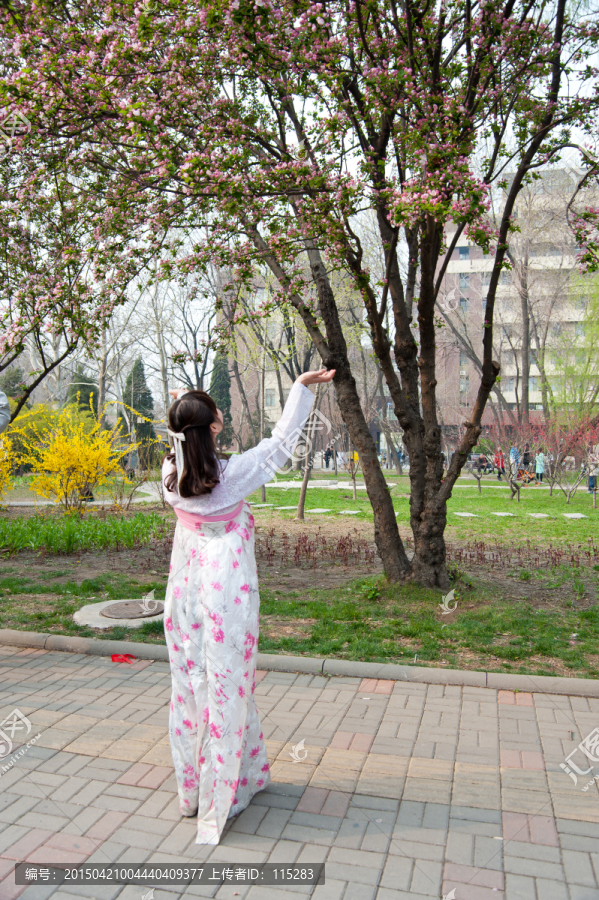 海棠花下的女孩