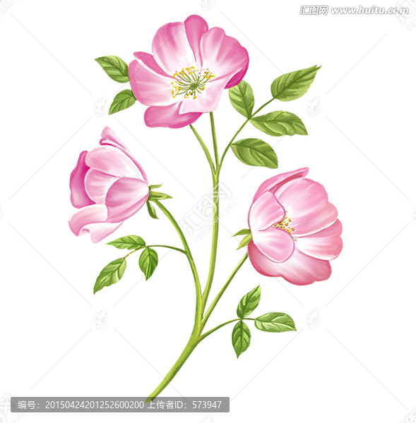 粉色花