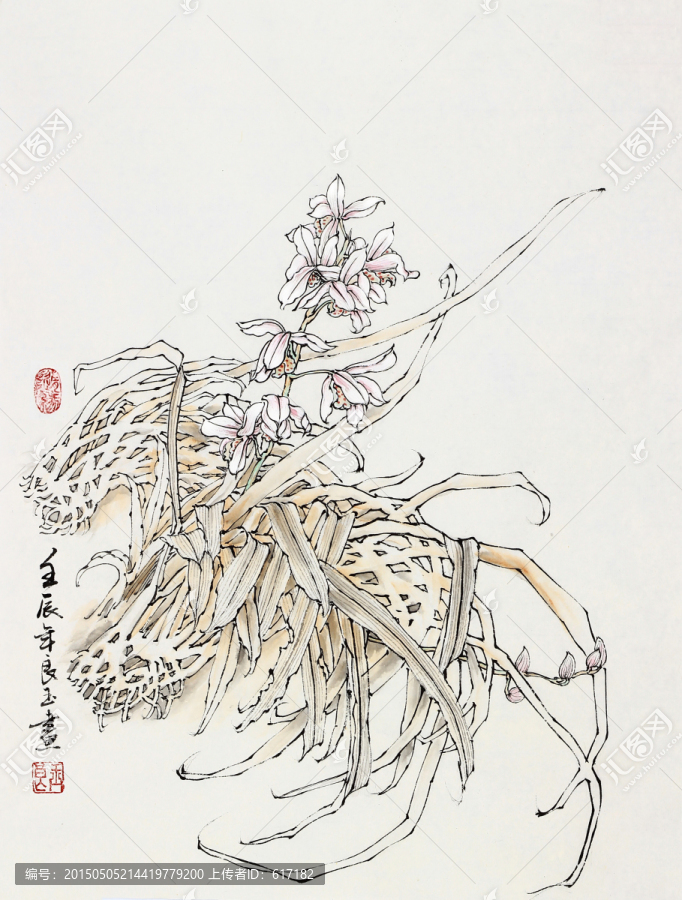 兰花,工笔,国画