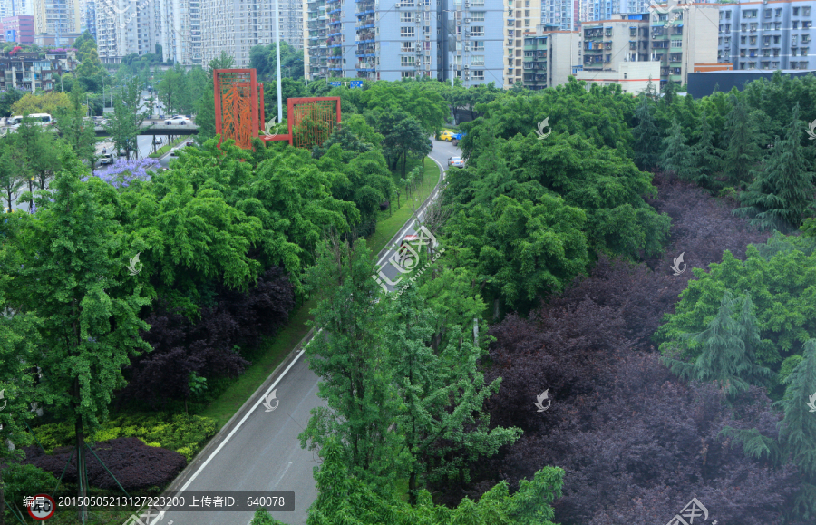 城市道路绿化