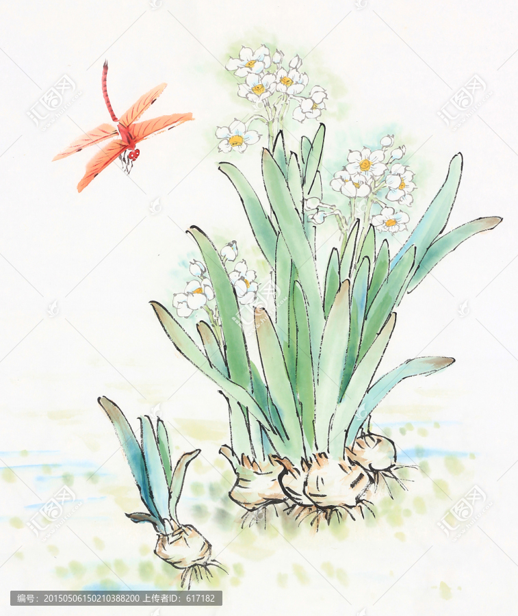 蜻蜓,水仙,國畫