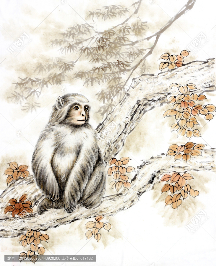 獼猴,猴子,樹(shù)干,國(guó)畫,工筆