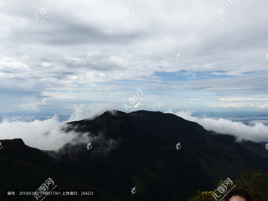 霍顿平原世界尽头