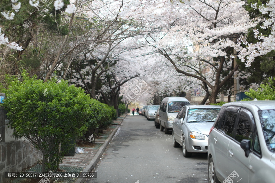 青岛三明路