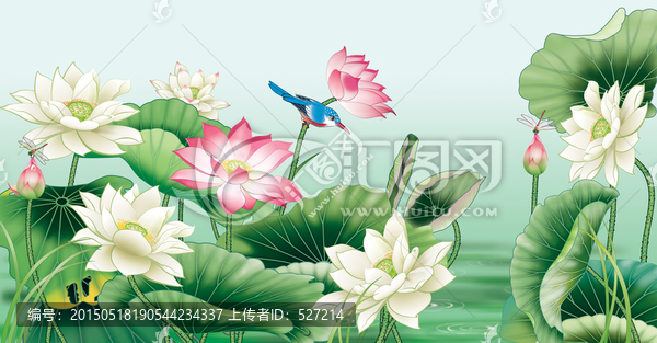 荷花圖