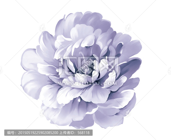 小朵花