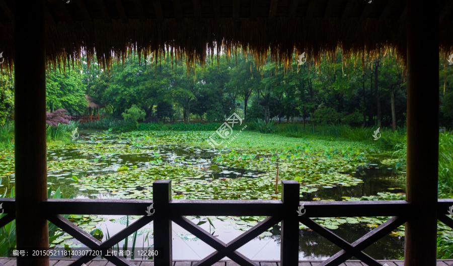 草庐,湿地公园