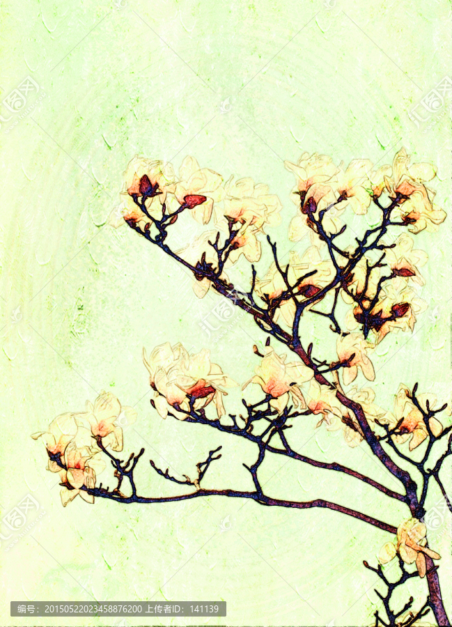 玉蘭花油畫