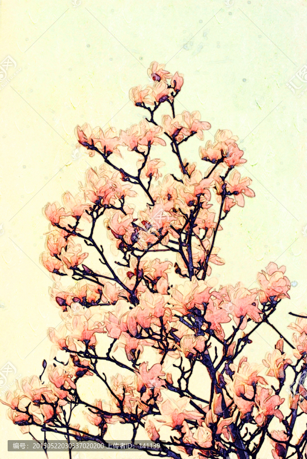 玉蘭花油畫