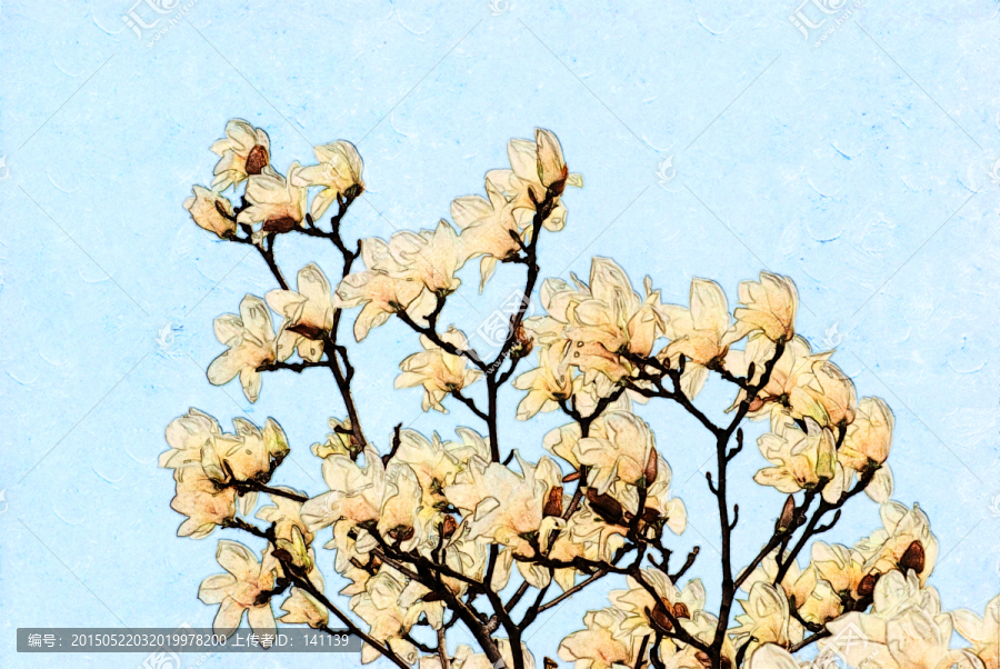 玉蘭花油畫