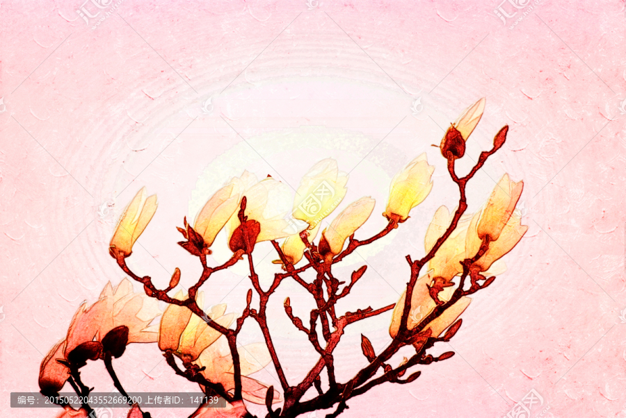 玉蘭花油畫