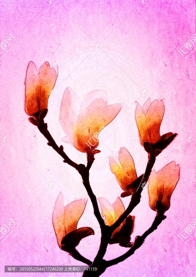 玉蘭花油畫