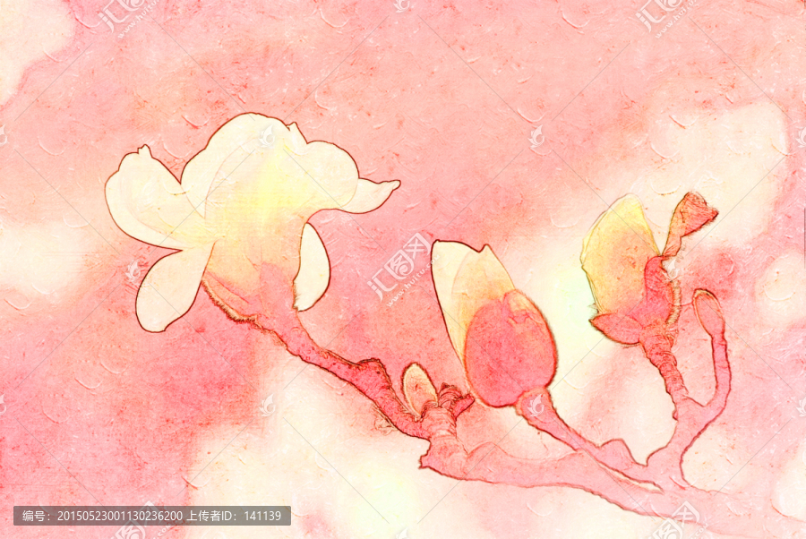 玉蘭花油畫