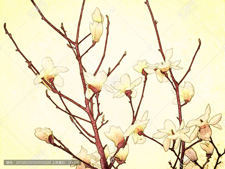 玉蘭花油畫