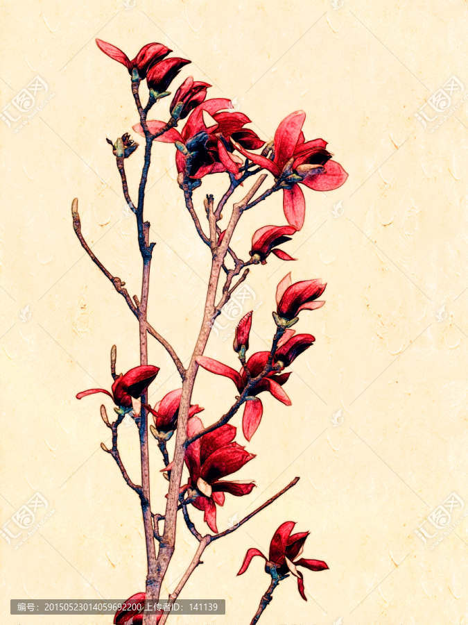 玉蘭花油畫