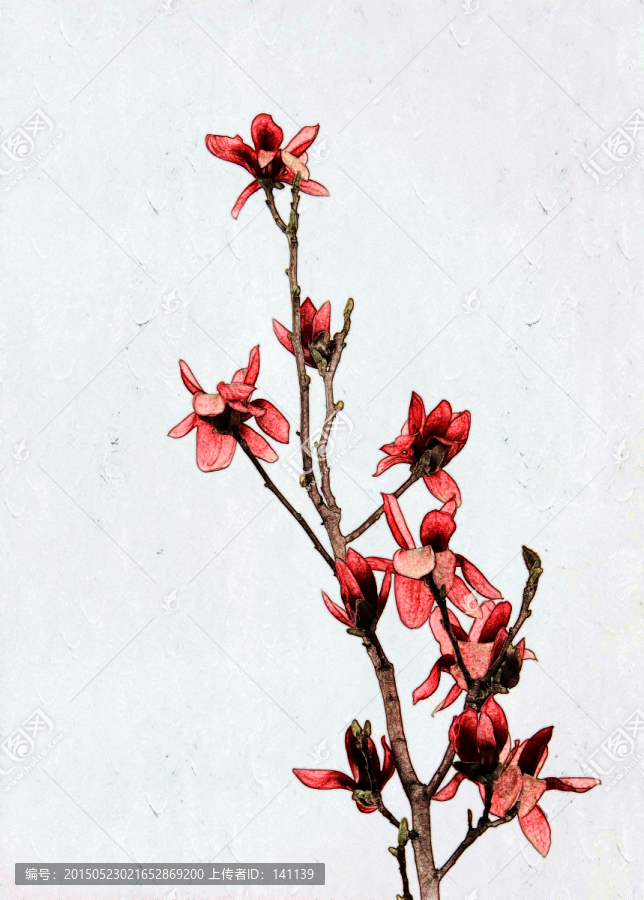 玉蘭花油畫